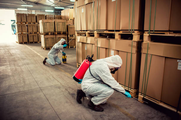 Best Bed Bug Extermination  in Sherman, TX