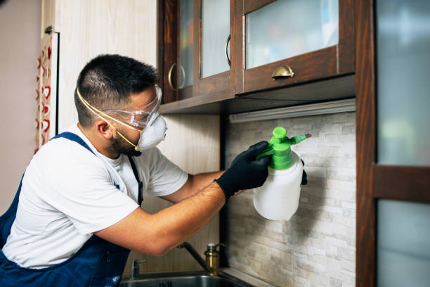 Best Pest Removal Services  in Sherman, TX