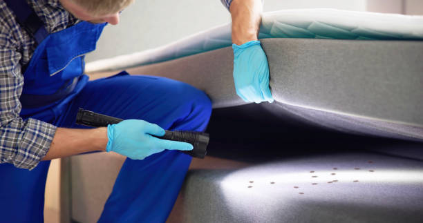 Best Affordable Pest Control Services  in Sherman, TX